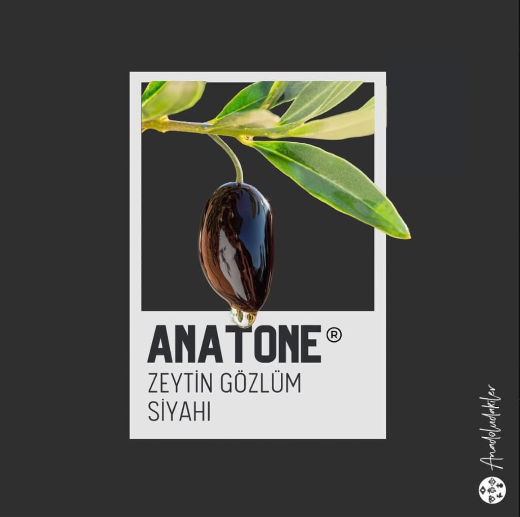 ZEYTİN GÖZLÜM SİYAHI