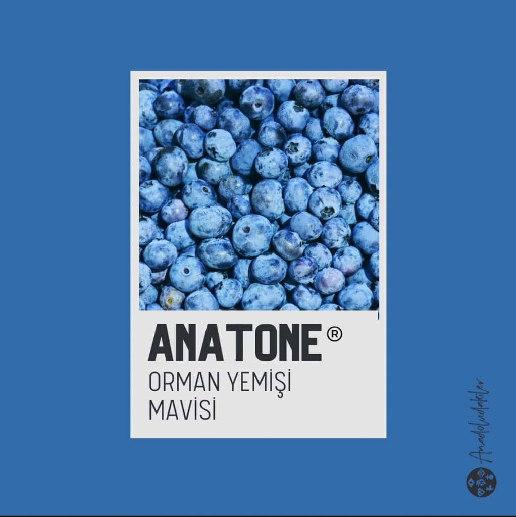 ORMAN YEMİŞİ MAVİSİ